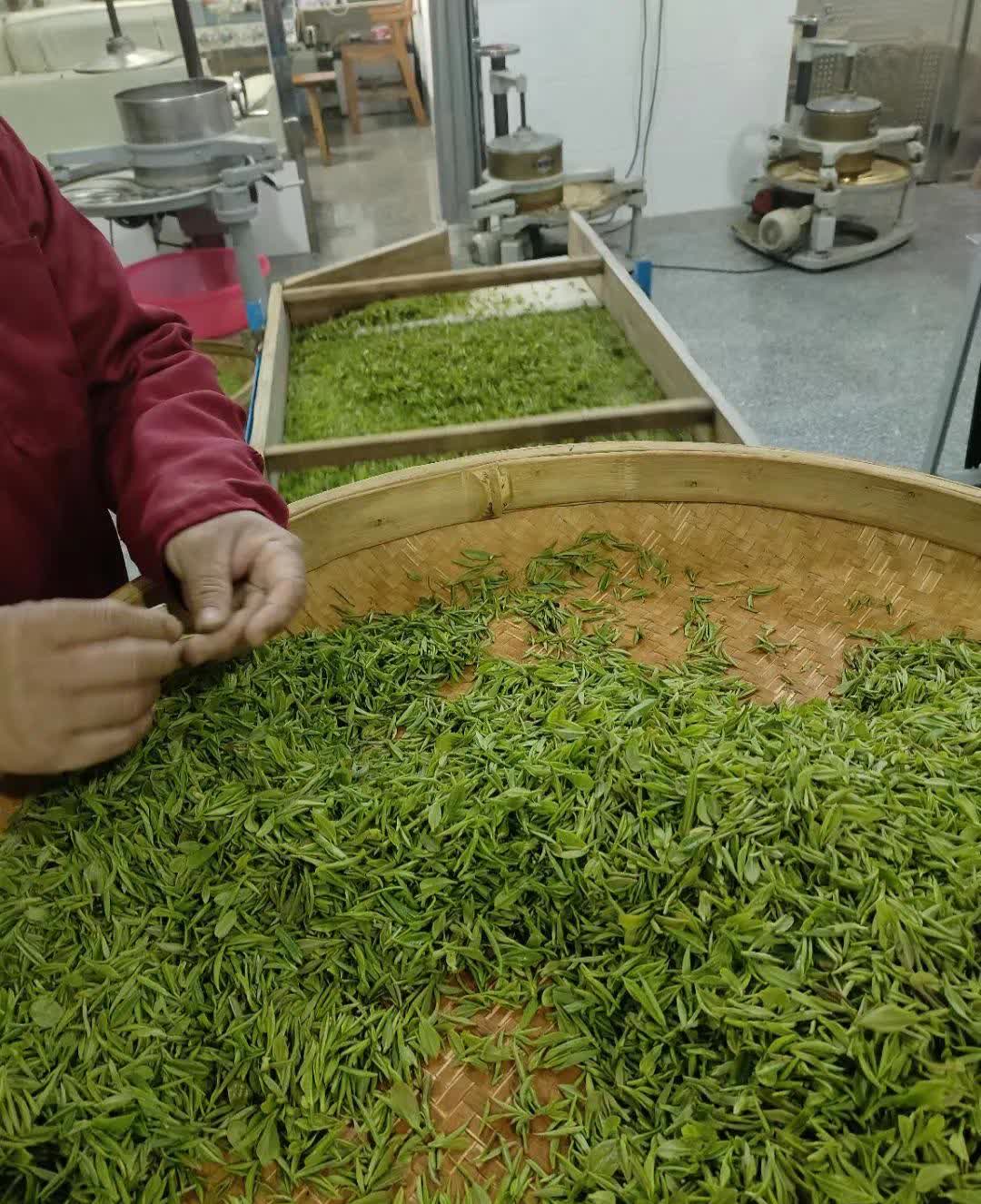 茶籮空了，心卻滿了