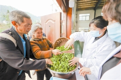 茶香浸潤的振興之路 畢節繪就鄉村振興新畫卷